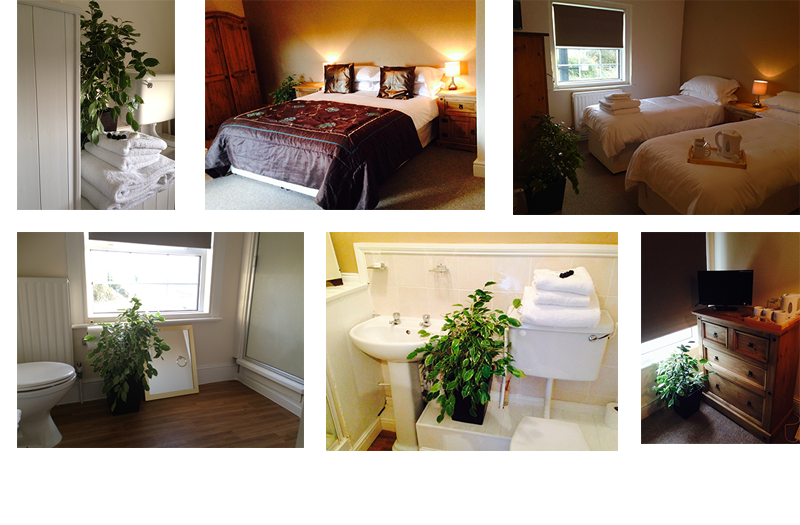 Our Rooms - Cashmoor Inn